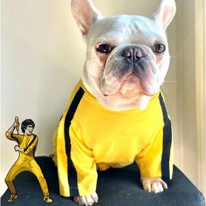 Bruce Lee Yellow Jumpsuit, Halloween Pet Dog Cat Stripe Jumper, Kung Fu Costume